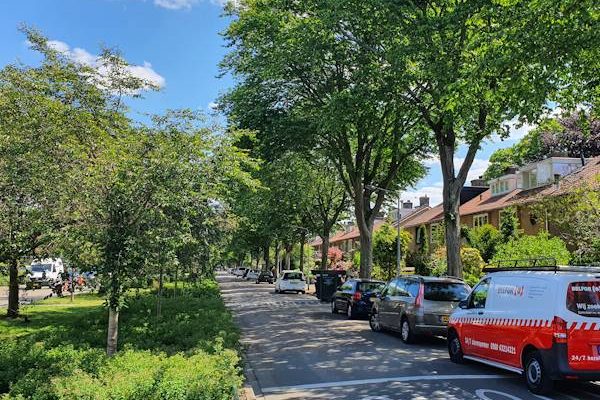 Wijken en buurten - Wijk Noordoost