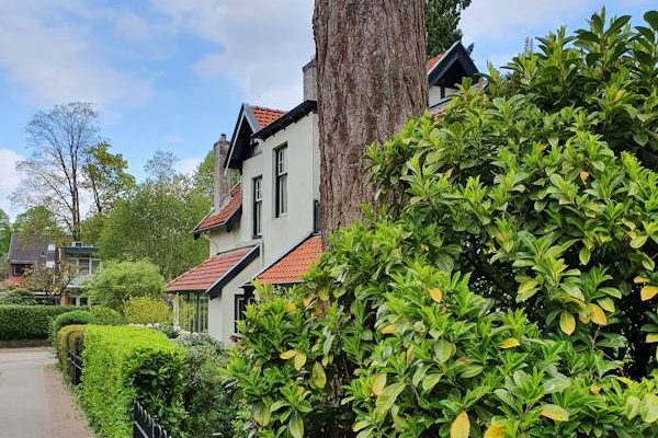 Wijken en buurten - Wijk Noordwest